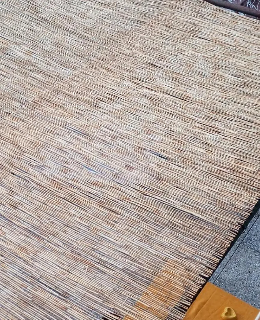 Casa Vacanza Swadararo 阿尔科拉